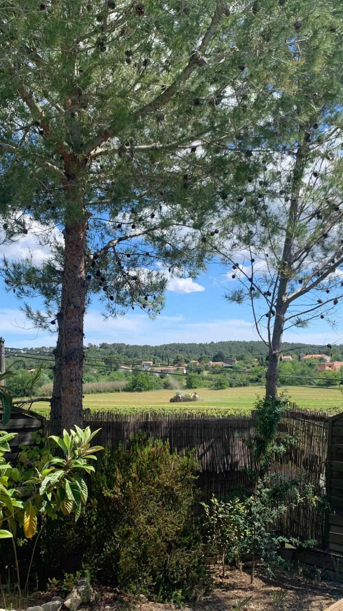 Villa En Bordure De Colline*Piscine*Clim*Netflix Les Matelles 외부 사진